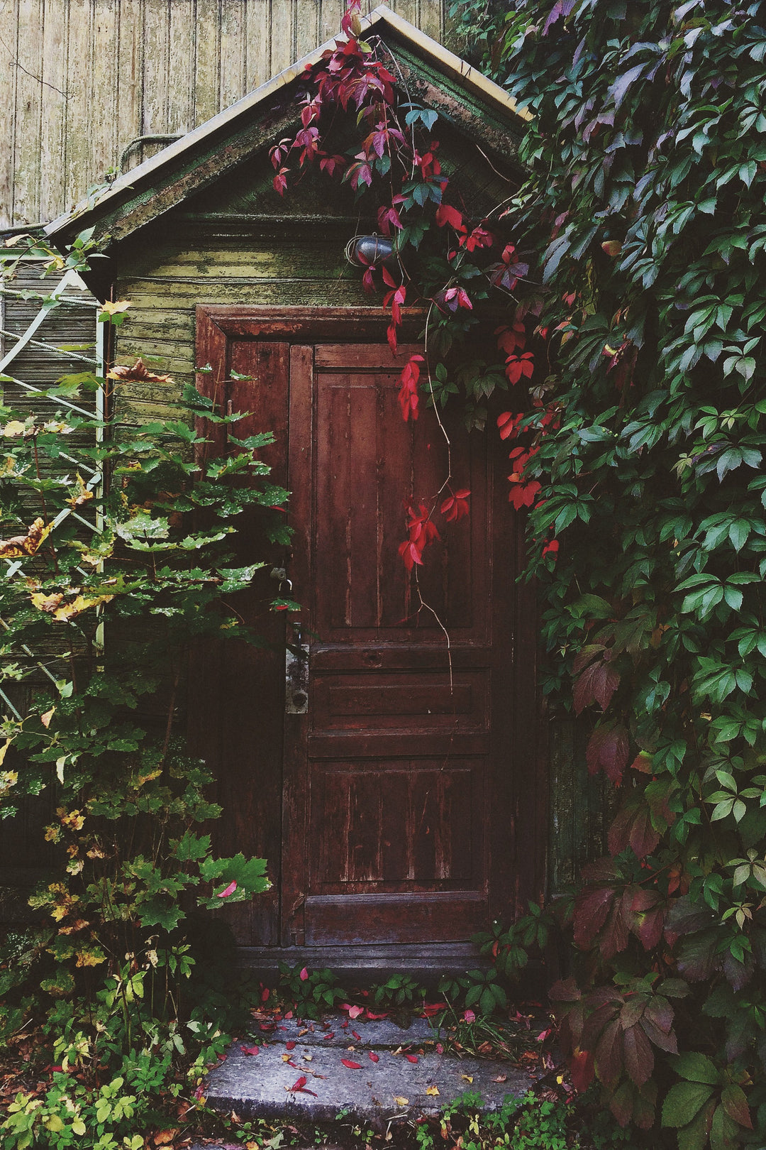 Welcome to Acorns & Twigs!