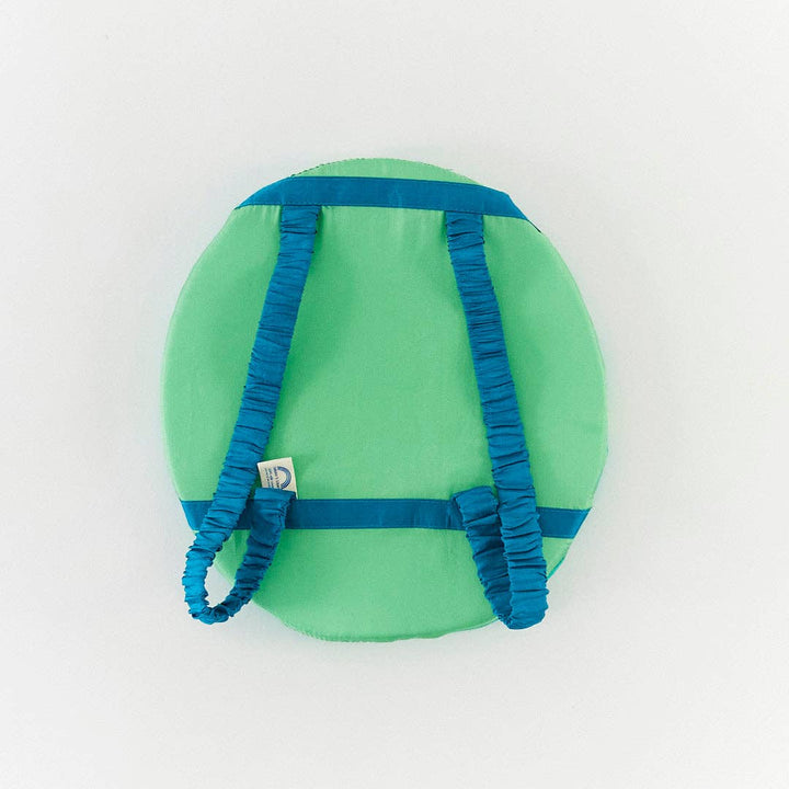 Sea Turtle Shell