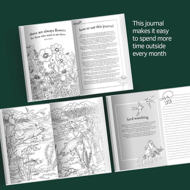 A Wild Year - Nature Journal-Nature Activities-Your Wild Books-Acorns &amp; Twigs