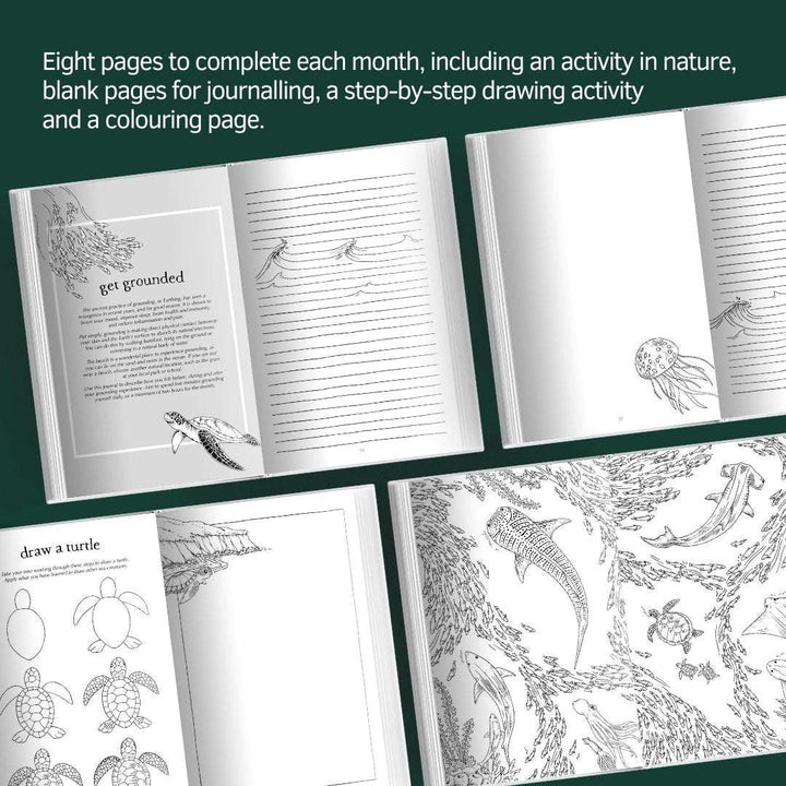 A Wild Year - Nature Journal-Nature Activities-Your Wild Books-Acorns &amp; Twigs