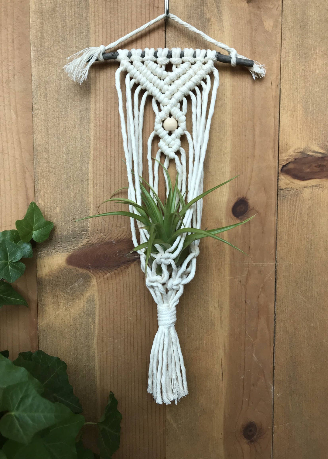 DIY Macrame Air Plant Hanger Kit - The Anika-Macrame-Tangled Up In Hue-Acorns &amp; Twigs