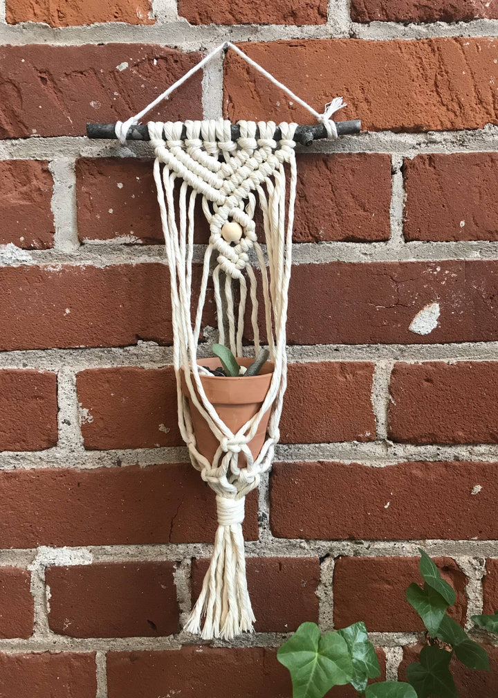 DIY Macrame Air Plant Hanger Kit - The Anika-Macrame-Tangled Up In Hue-Acorns &amp; Twigs