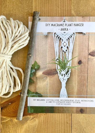 mini macrame air plant hanger tutorial DIY Macrame Air Plant Hanger Kit