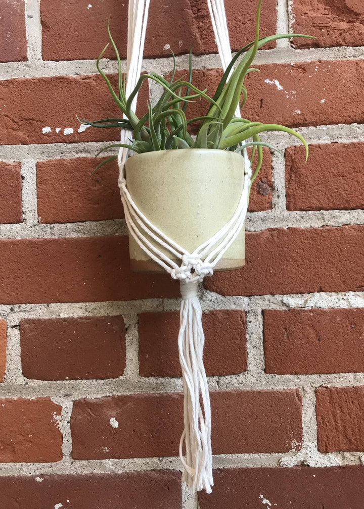 DIY Macrame Plant Hanger Kit - The Evelyn-Macrame-Tangled Up In Hue-Acorns &amp; Twigs