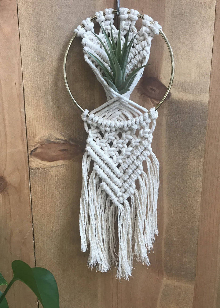 DIY macrame kit - Rowan Air Plant Hanger 5"-Macrame-Tangled Up In Hue-Acorns &amp; Twigs