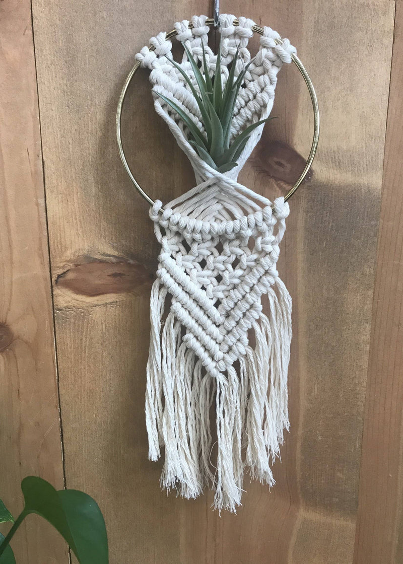 DIY macrame kit - Rowan Air Plant Hanger 5"-Macrame-Tangled Up In Hue-Acorns & Twigs