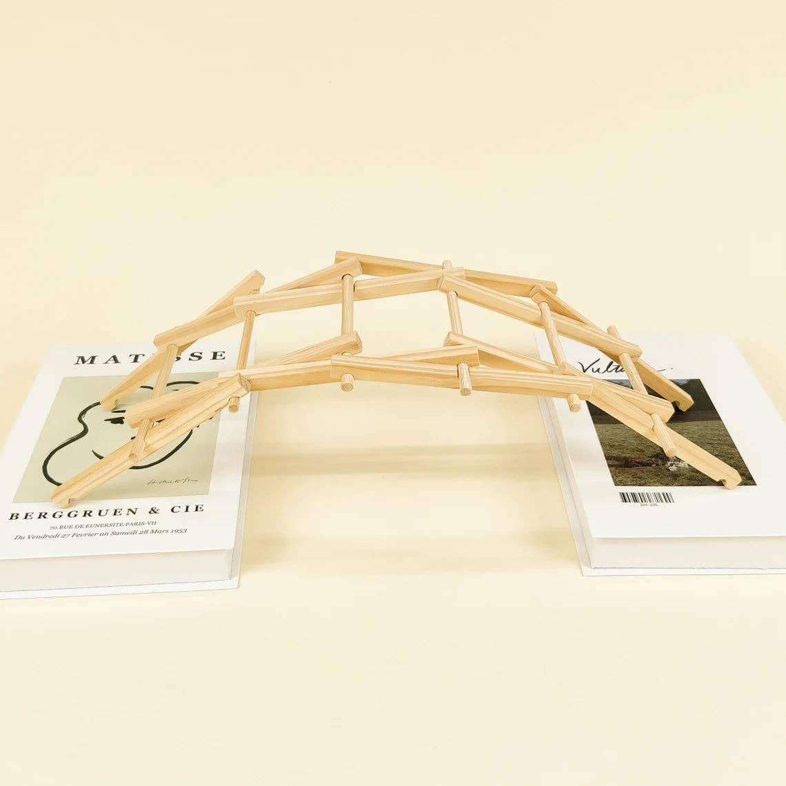 Da Vinci's Bridge DIY Kit, STEM Toy for Kids, Craft Kit-Wooden Toy-Kitsville-Acorns & Twigs