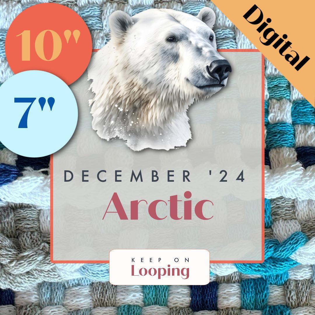 Digital KOL Patterns - Dec 2024 - Arctic-Past KOL Boxes-Keep On Looping-Acorns &amp; Twigs