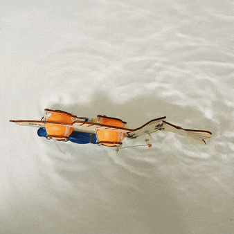 Fish Robot DIY Kit, Educational STEM Toy for Kids, Craft Kit-Wooden Toy-Kitsville-Acorns &amp; Twigs