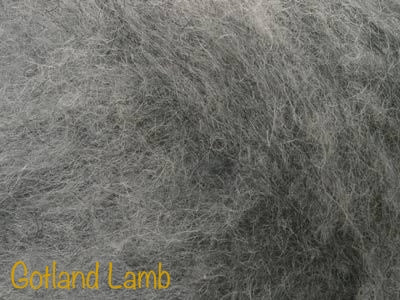 Gotland Lamb Batt