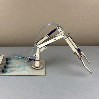 Hydraulic Robotic Arm DIY Kit, Educational STEM Toy for Kids-Wooden Toy-Kitsville-Acorns &amp; Twigs