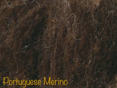 Portuguese Merino Batt