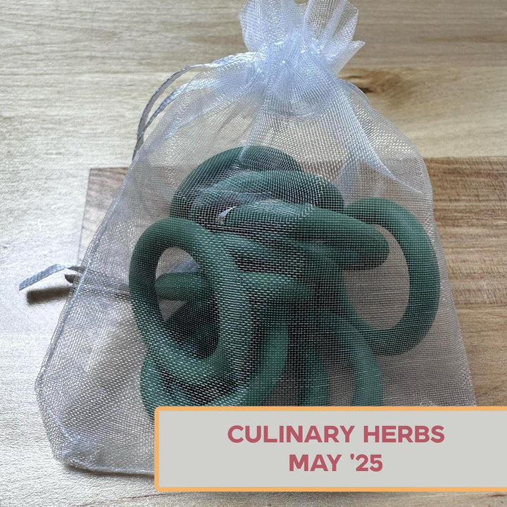 Silicone Rings - Culinary Herbs (Green)-Silicone Ring-Keep On Looping-Acorns &amp; Twigs