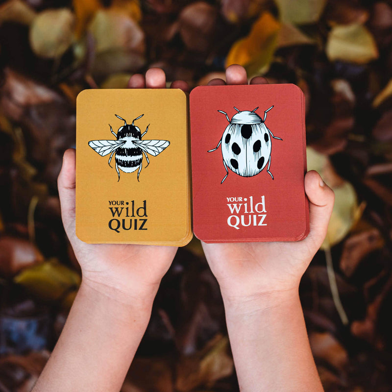 Wild Quiz card game-Nature Activities-Your Wild Books-Acorns & Twigs