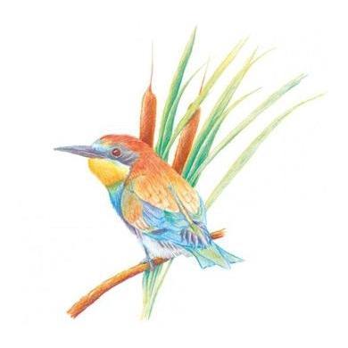 04 Golden Yellow - Stockmar Triangular Colored Pencil-Colored Pencils-Stockmar-Acorns &amp; Twigs