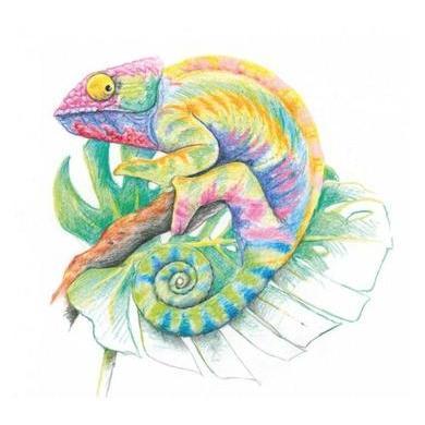 06 Yellow Green - Stockmar Triangular Colored Pencil-Colored Pencils-Stockmar-Acorns &amp; Twigs