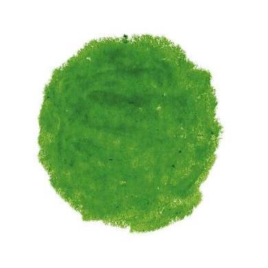 06 Yellow Green - Stockmar Wax Crayon Sticks-Coloring Sticks-Stockmar-Acorns &amp; Twigs