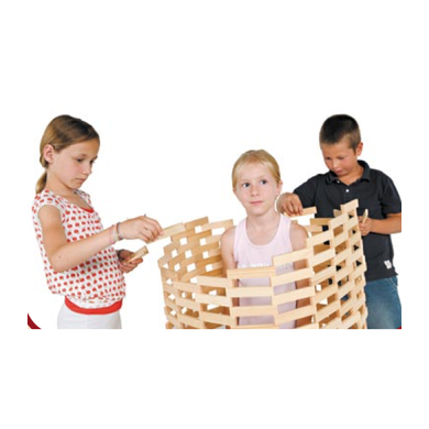 100 KAPLA Box-Kapla-Kapla-Acorns &amp; Twigs