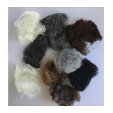 Animal Felting Kit-Pre-Packaged Wool Sets-Acorns &amp; Twigs-Acorns &amp; Twigs
