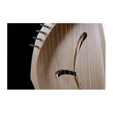 Auris Children's Lyre 12 String - LDD, LDP-Lyres-Auris-Acorns & Twigs