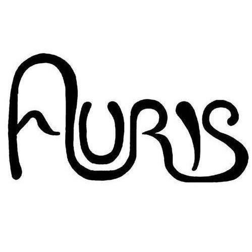 Auris Chromatic Lyre 30 String (LSK-030)-Lyres-Auris-Acorns & Twigs