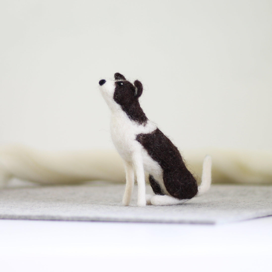 Border Collie Needle Felting Kit-Needle Felting-Hawthorn Handmade-Acorns &amp; Twigs