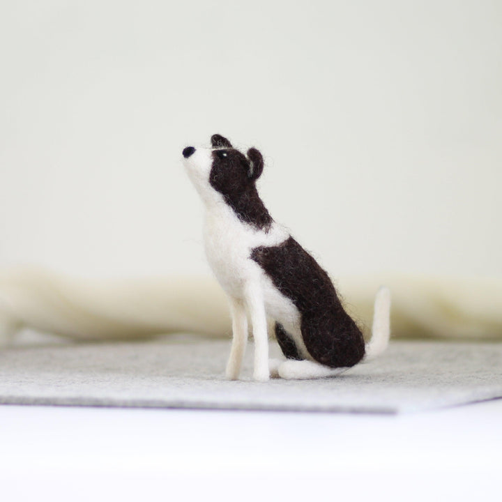 Border Collie Needle Felting Kit-Needle Felting-Hawthorn Handmade-Acorns &amp; Twigs