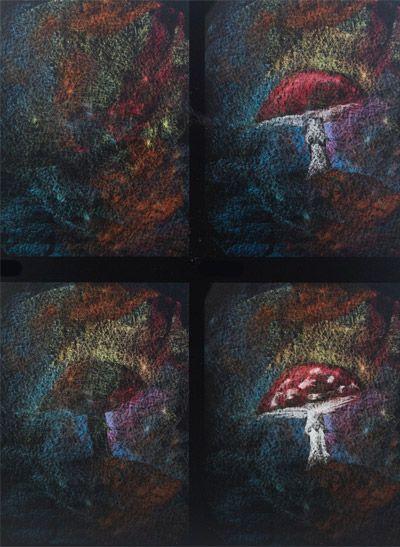 Chalkboard Drawing Book - Paul van Meurs-Book-Mercurius-Acorns &amp; Twigs