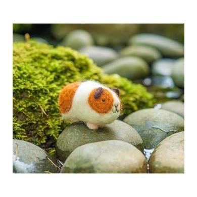 Guinea Pigs Needle Felting Kit - EASY-Needle Felting-WoolPets-Acorns &amp; Twigs