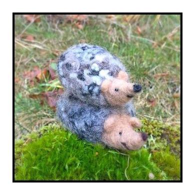 Hedgehog Needle Felting Kit - EASY-Needle Felting-WoolPets-Acorns &amp; Twigs