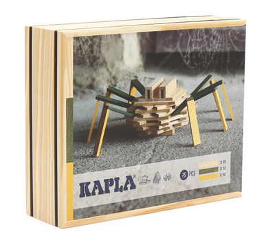 KAPLA Spider Case-Kapla-Kapla-Acorns & Twigs