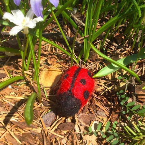 Ladybugs &amp; Bumblebees Needle Felting Kit - Starter Kit-Needle Felting-WoolPets-Acorns &amp; Twigs