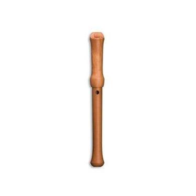 Mollenhauer Penta in D - Pentatonic Soprano Recorder - Waldorf Edition-Flutes-Mollenhauer-Acorns &amp; Twigs
