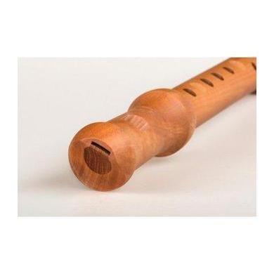 Mollenhauer Penta in D - Pentatonic Soprano Recorder - Waldorf Edition-Flutes-Mollenhauer-Acorns &amp; Twigs