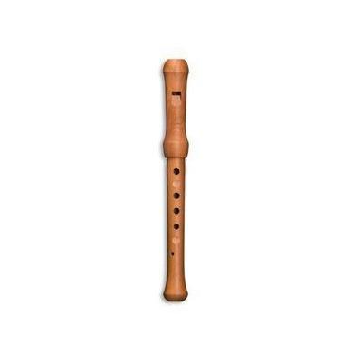 Mollenhauer Penta in D - Pentatonic Soprano Recorder - Waldorf Edition-Flutes-Mollenhauer-Acorns &amp; Twigs