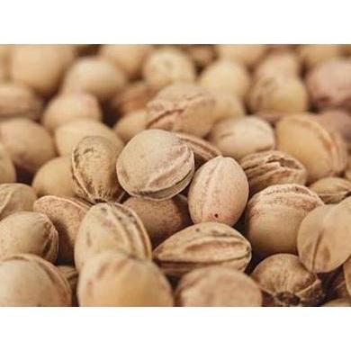 Natural Filler - Cherry Pits-Supplies &amp; Tools-Acorns &amp; Twigs-Acorns &amp; Twigs