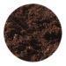 Plant Pigment Powder - 10 ml-Painting-Artemis-Acorns &amp; Twigs