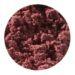 Plant Pigment Powder - 50 ml-Painting-Artemis-Acorns &amp; Twigs