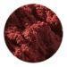 Plant Pigment Powder - 50 ml-Painting-Artemis-Acorns &amp; Twigs