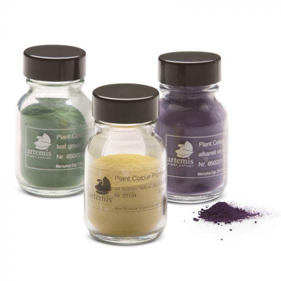 Plant Pigment Powder - 50 ml-Painting-Artemis-Acorns &amp; Twigs