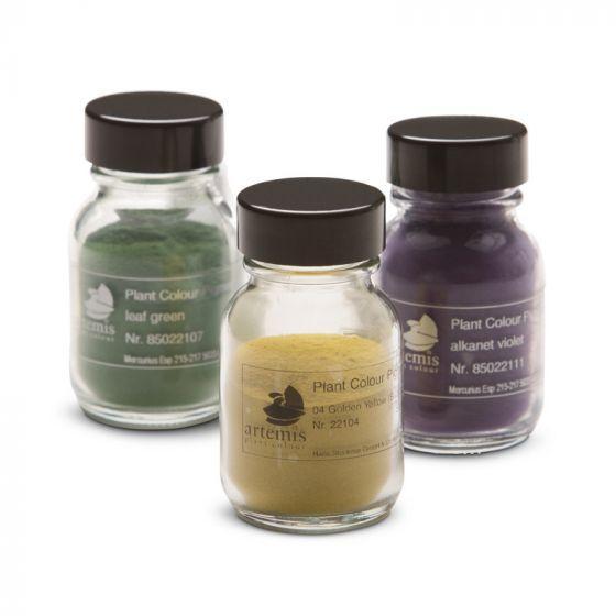 Plant Pigment Powder - 50 ml-Painting-Artemis-Acorns &amp; Twigs