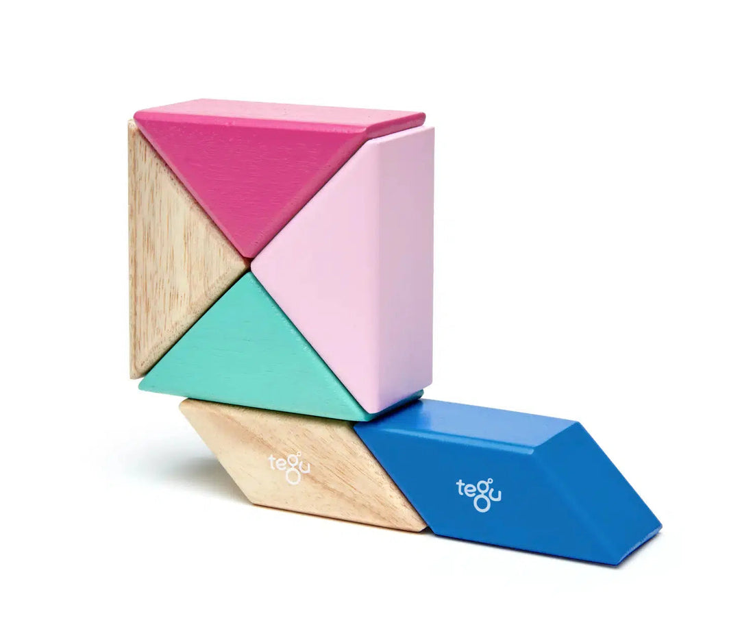 Pocket Pouch Prism - Magnetic Wooden Block Set-Wooden blocks-Tegu-Acorns &amp; Twigs