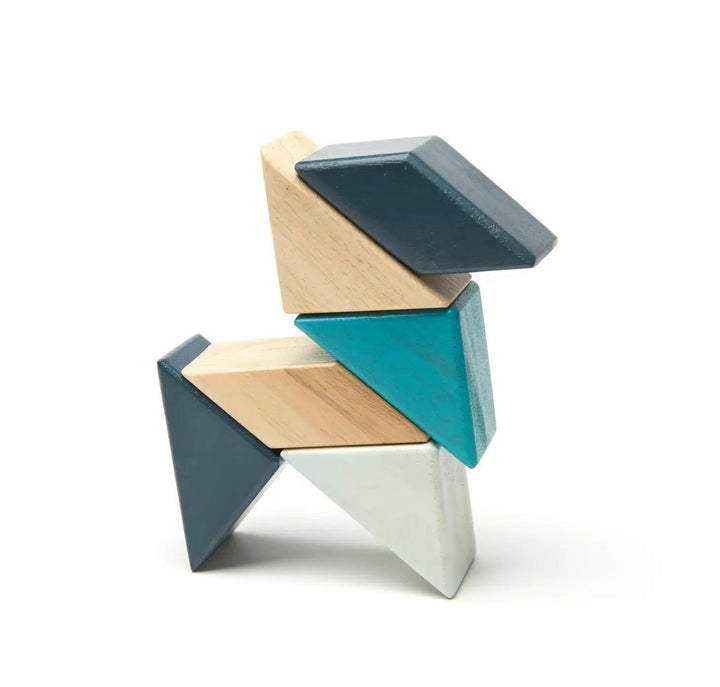 Pocket Pouch Prism - Magnetic Wooden Block Set-Wooden blocks-Tegu-Acorns &amp; Twigs