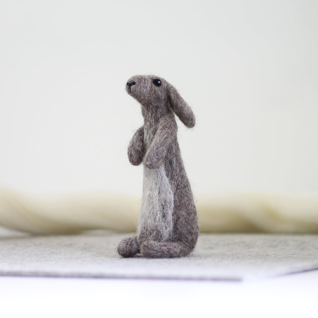 Rabbit Needle Felting Kit-Needle Felting-Hawthorn Handmade-Acorns &amp; Twigs