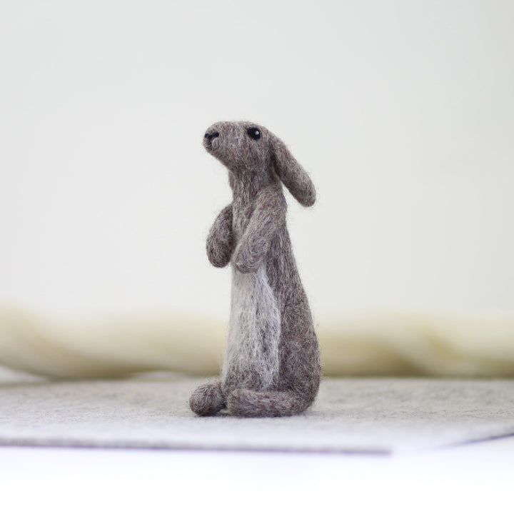 Rabbit Needle Felting Kit-Needle Felting-Hawthorn Handmade-Acorns &amp; Twigs