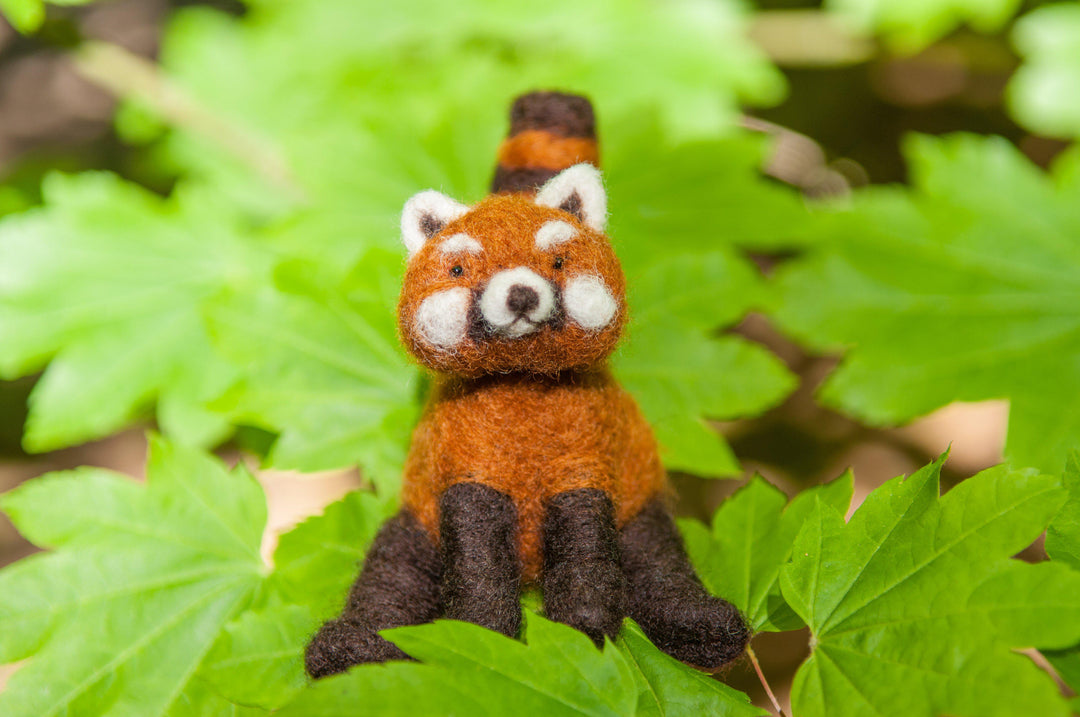 Red Panda Needle Felting Kit - Intermediate-Needle Felting-WoolPets-Acorns &amp; Twigs