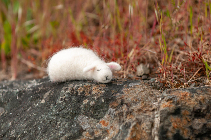 Sleepy Sheep Needle Felting Kit - Starter Kit-Needle Felting-WoolPets-Acorns & Twigs