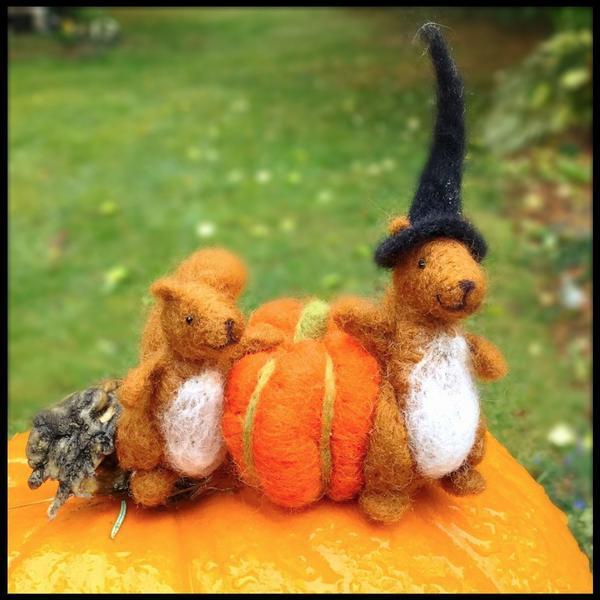 Squirrel Felting Kit - Starter Kit-Needle Felting-WoolPets-Acorns &amp; Twigs