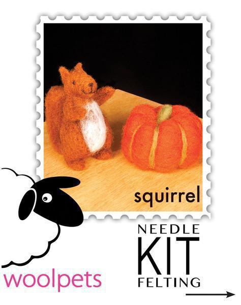 Squirrel Felting Kit - Starter Kit-Needle Felting-WoolPets-Acorns &amp; Twigs
