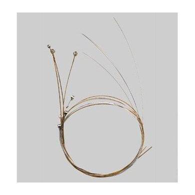 String Set for Auris Diatonic Children's Lyre - 12 strings - LDD-300-Strings-Auris-Acorns & Twigs